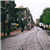 朱洋冰